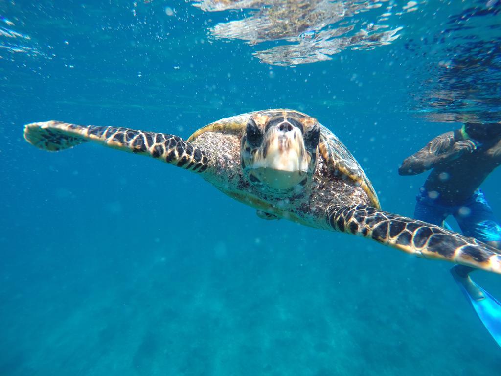 Отель Maldives Seashine Хураа Экстерьер фото