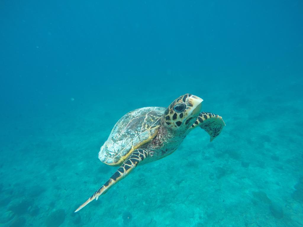 Отель Maldives Seashine Хураа Экстерьер фото